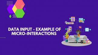 Data Input - Example of Micro-interactions 