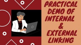 Practical Demo of Internal and External Linking