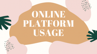 Online Platform Usage & Talking to Freelancing Peers
