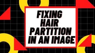 Fixing Hair Partition in an Image