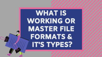 What is working or master file formats and its type?