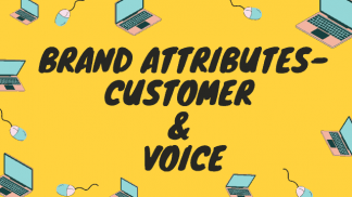 Brand attributes- customer & voice