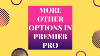 More Other Options in Premiere Pro