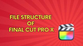 File Structue of FCPX