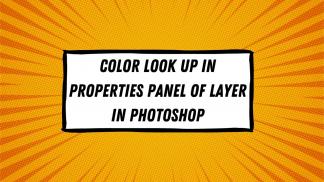 Color Look up  in properties panel of Layer in Photoshop